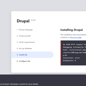 Install, fix bugs, errors drupal website