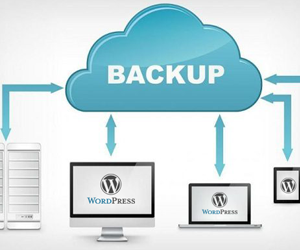 WordPress Backup and Restore Services