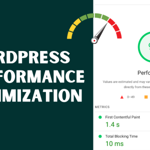 WordPress Speed Optimization