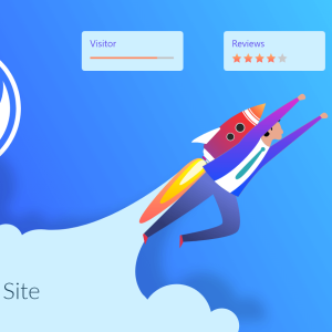 WordPress Speed Optimization